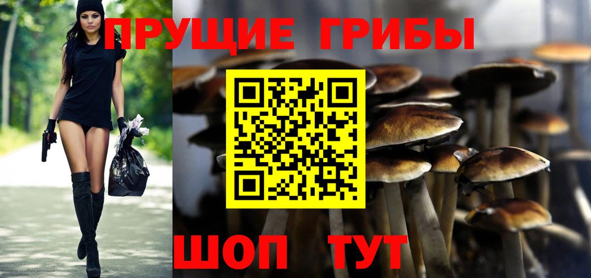 Псилоцибиновые грибы ЛСД Орехово-Зуево